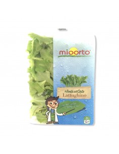 Insalatina Busta 100g