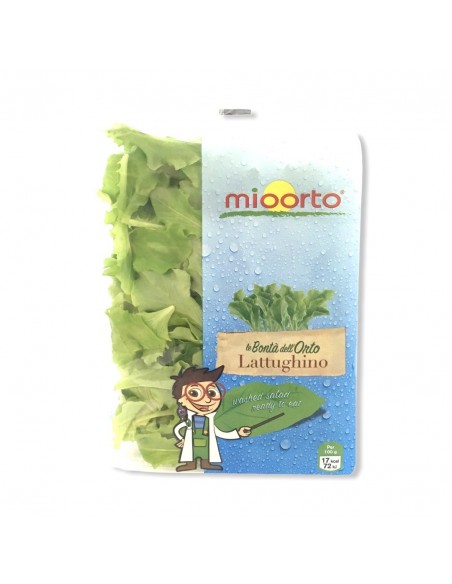 Insalatina Busta 100g