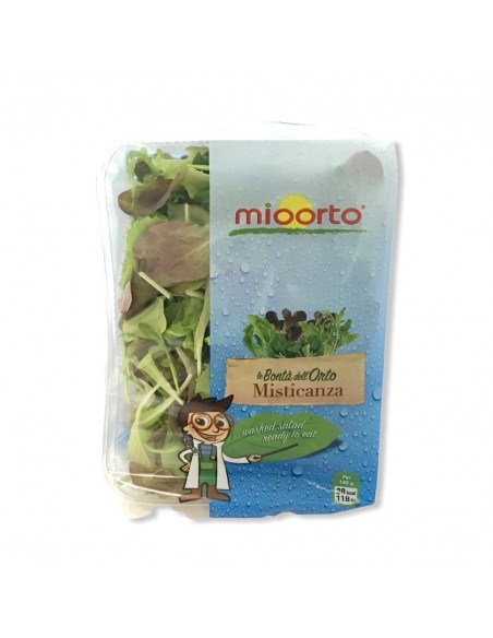 Misticanza Busta 100g