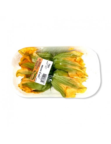Fiori di Zucchina