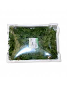 Spinacino Box 400g