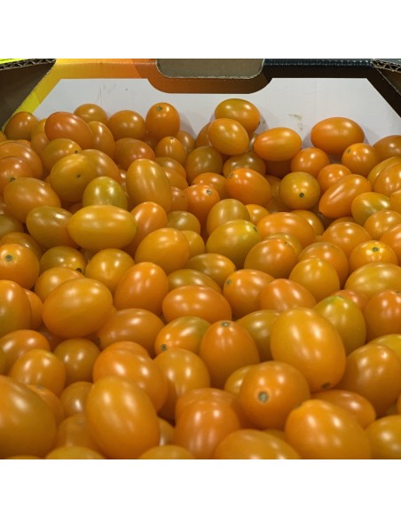 Pomodorini Datterino