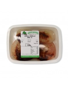 Cipolle Cotte