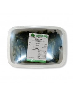 Catalogna Cotta
