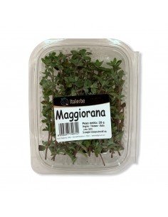 Maggiorana conf 20g