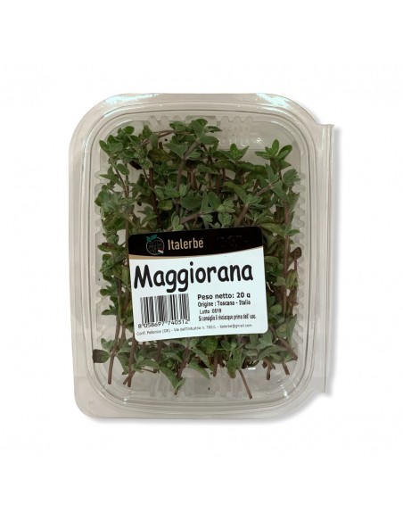 Maggiorana conf 20g