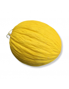 Melone Giallo