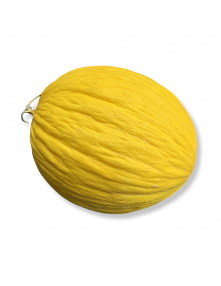 Melone Giallo