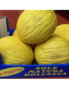 Melone Giallo 2