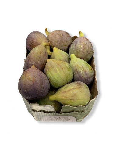 Fichi Rosa Basilicata