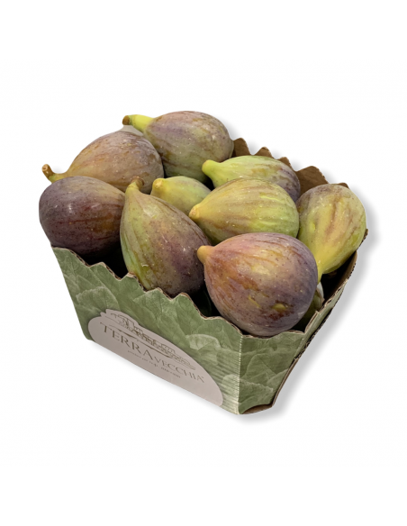 Fichi Rosa di Pisticci