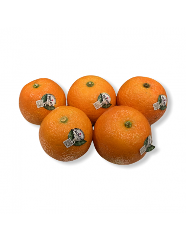 Clementine Bollo Extra