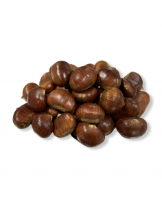 Marroni Grossi del Monte Amiata