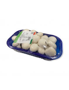 Funghi Champignon