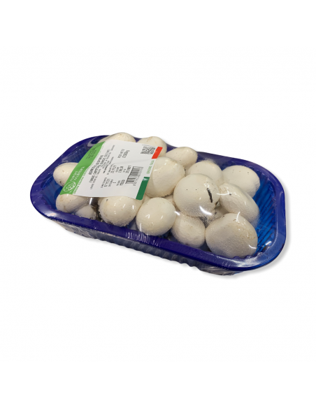 Funghi Champignon