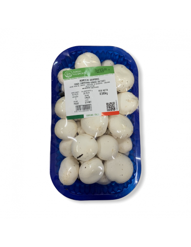 Funghi Champignon
