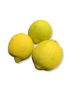Limoni Primofiore Sicilia