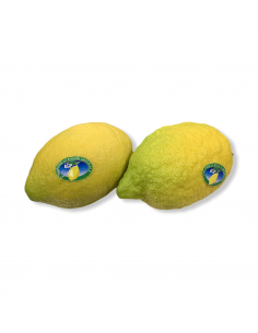 Limoni IGP di Rocca Imperiale