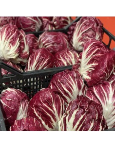 Varieggiato 2