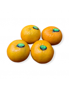 Clementine Jaffa