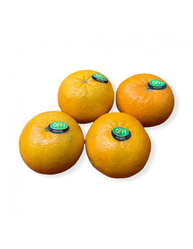 Clementine Jaffa