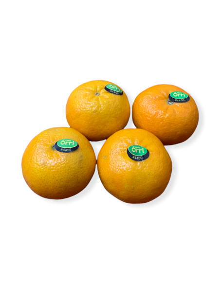 Clementine Jaffa