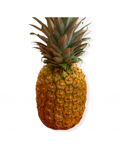 Ananas Via Nave Extra