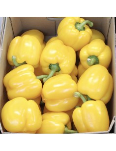 Peperoni Gialli Olanda 2