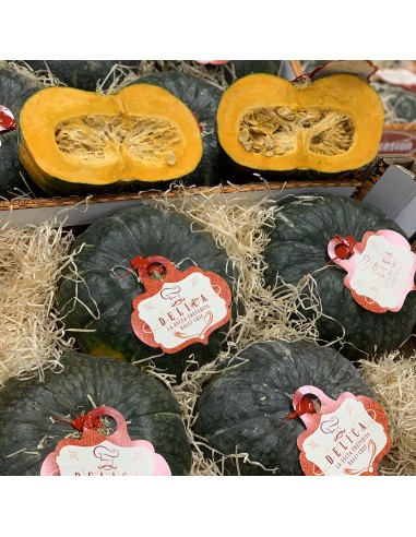 Zucca Delica Extra