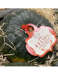 Zucca 2