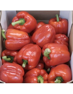 Peperoni Gialli Olanda 2