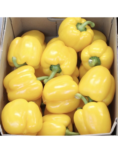 Peperoni Gialli Olanda