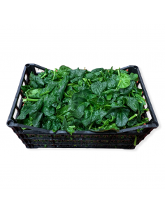 Spinaci Pulite Nostrane...