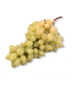 Uva Bianca Senza Semi