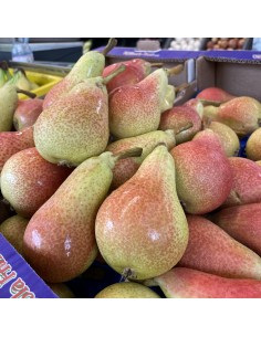 Pere Carmen Nuove 2