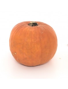 Zucche di Hallowen