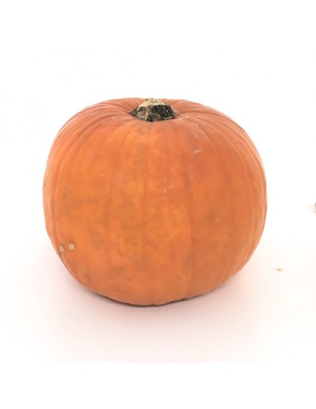 Zucche di Hallowen