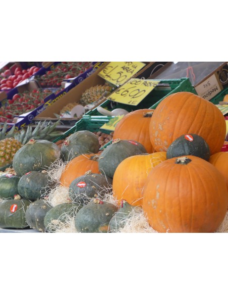 Zucche di Hallowen