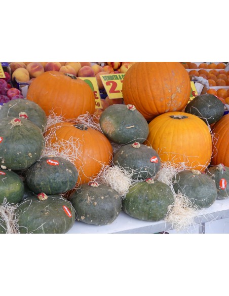 Zucche di Hallowen