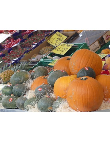 Zucche di Hallowen