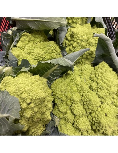 Cavolfiore Verde Romanesco