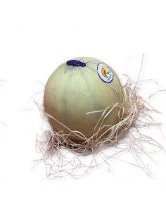 Melone Liscio Extra