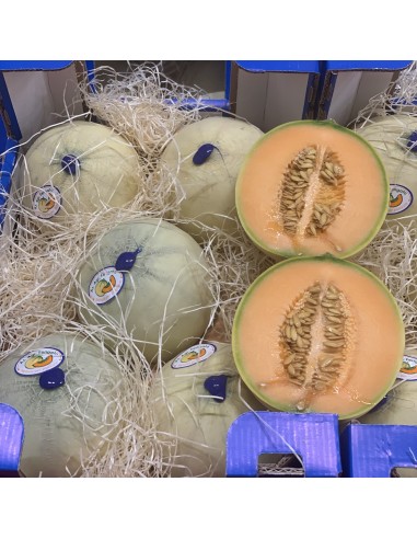 Melone Liscio Extra