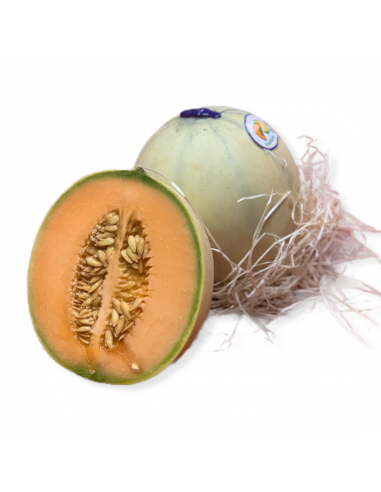 Melone Liscio Extra
