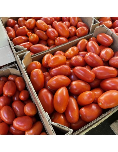 Pomodori San Marzano (da salsa)