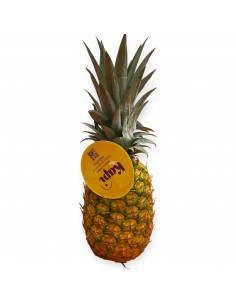 Ananas Kapi