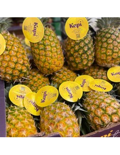 Ananas Kapi 2