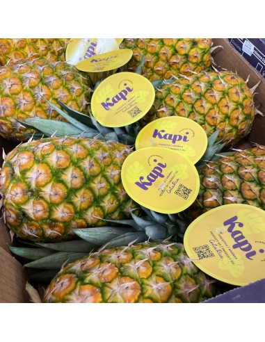 Ananas Kapi