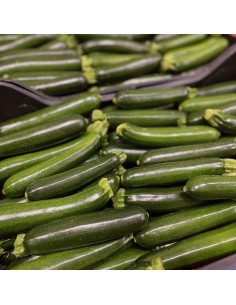 Zucchine Piccole Nostrane 2