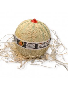 Melone Extra Lorenzini